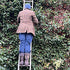 Cutting a large winter foliage wholesale order