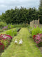 Somerset florist & flower farmer Georgie Newbery will show you the essentials for creating a successful cut flower patch on this online workshop. Find out how to make best use of space, how to create soil your plants will love, what to plant & where, top tips for varieties and percentage use of space per kind of plant.