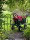 Join flower farmer and florist Georgie Newbery and find out how to grow dahlias for a great summer and autumn harvest.

With top tips and recommendations Georgie will take you through the dahlia year discussing ordering, propagating, growing on, planting out, managing the growing season, and then how to lift and store your dahlia tubers, or just tuck them up in the ground to survive the winter.