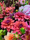 Join flower farmer and florist Georgie Newbery and find out how to grow dahlias for a great summer and autumn harvest.

With top tips and recommendations Georgie will take you through the dahlia year discussing ordering, propagating, growing on, planting out, managing the growing season, and then how to lift and store your dahlia tubers, or just tuck them up in the ground to survive the winter.