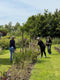 Develop your flower farming skills on this intensive three day course delivered by flower farmer and florist Georgie Newbery on her Somerset flower farm. Georgie will share all her extensive experience with you as a flower farmer and florist, growing eco friendly, sustainable flowers.